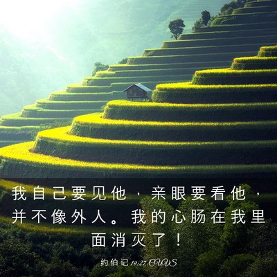 Picture 03 - 约 伯 记 19:27 CUVS - 我 自 己 要 见 他 ， 亲 眼 要 看 他 - Bible Verse Picture