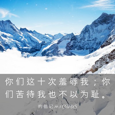 Picture 03 - 约 伯 记 19:3 CUVS - 你 们 这 十 次 羞 辱 我 ； 你 们 苦 - Bible Verse Picture