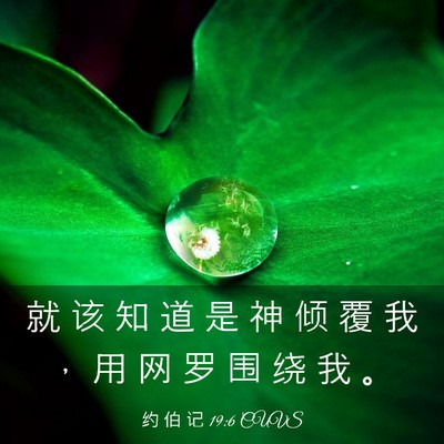 Picture 03 - 约 伯 记 19:6 CUVS - 就 该 知 道 是 神 倾 覆 我 ， 用 网 - Bible Verse Picture