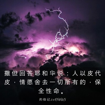 Picture 03 - 约 伯 记 2:4 CUVS - 撒 但 回 答 耶 和 华 说 ： 人 以 皮 - Bible Verse Picture