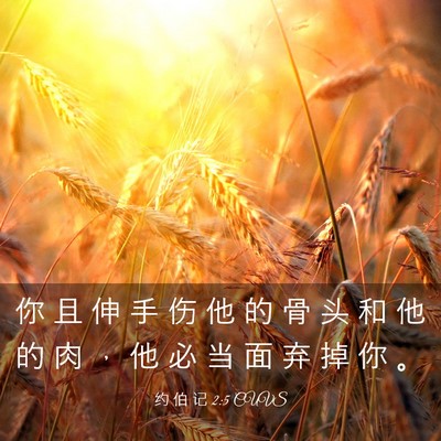 Picture 03 - 约 伯 记 2:5 CUVS - 你 且 伸 手 伤 他 的 骨 头 和 他 的 - Bible Verse Picture