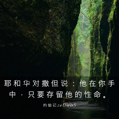 Picture 03 - 约 伯 记 2:6 CUVS - 耶 和 华 对 撒 但 说 ： 他 在 你 手 - Bible Verse Picture