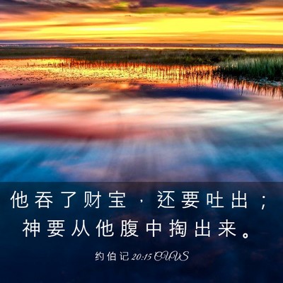 Picture 03 - 约 伯 记 20:15 CUVS - 他 吞 了 财 宝 ， 还 要 吐 出 ； 神 - Bible Verse Picture