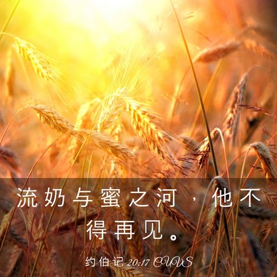 Picture 03 - 约 伯 记 20:17 CUVS - 流 奶 与 蜜 之 河 ， 他 不 得 再 见 - Bible Verse Picture