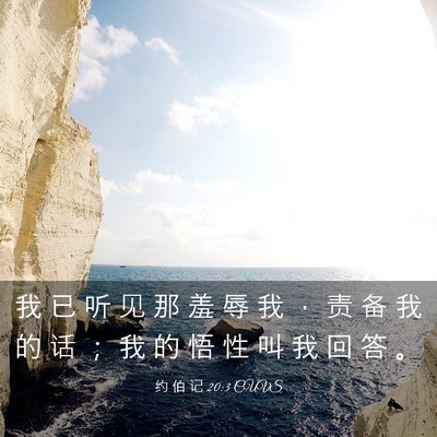 Picture 03 - 约 伯 记 20:3 CUVS - 我 已 听 见 那 羞 辱 我 ， 责 备 我 - Bible Verse Picture