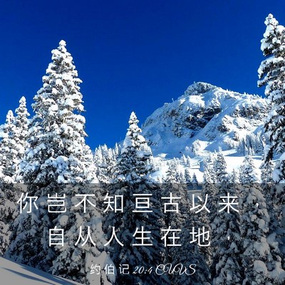 Picture 03 - 约 伯 记 20:4 CUVS - 你 岂 不 知 亘 古 以 来 ， 自 从 人 - Bible Verse Picture