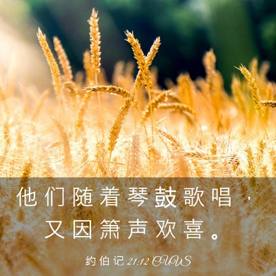 Picture 03 - 约 伯 记 21:12 CUVS - 他 们 随 着 琴 鼓 歌 唱 ， 又 因 箫 - Bible Verse Picture