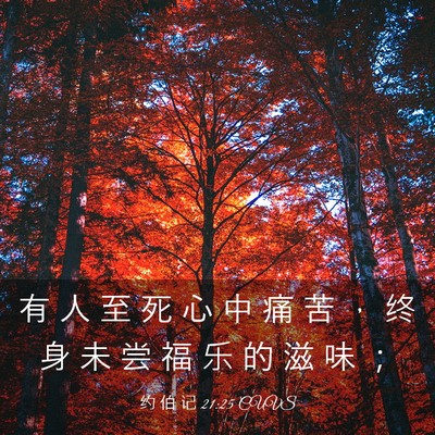 Picture 03 - 约 伯 记 21:25 CUVS - 有 人 至 死 心 中 痛 苦 ， 终 身 未 - Bible Verse Picture