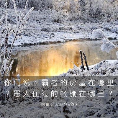 Picture 03 - 约 伯 记 21:28 CUVS - 你 们 说 ： 霸 者 的 房 屋 在 哪 里 - Bible Verse Picture