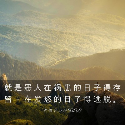 Picture 03 - 约 伯 记 21:30 CUVS - 就 是 恶 人 在 祸 患 的 日 子 得 存 - Bible Verse Picture