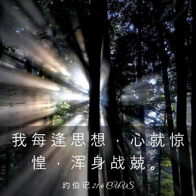 Picture 03 - 约 伯 记 21:6 CUVS - 我 每 逢 思 想 ， 心 就 惊 惶 ， 浑 - Bible Verse Picture