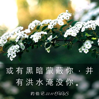 Picture 03 - 约 伯 记 22:11 CUVS - 或 有 黑 暗 蒙 蔽 你 ， 并 有 洪 水 - Bible Verse Picture
