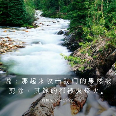 Picture 03 - 约 伯 记 22:20 CUVS - 说 ： 那 起 来 攻 击 我 们 的 果 然 - Bible Verse Picture