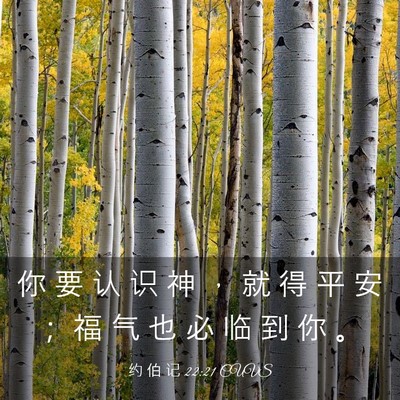 Picture 03 - 约 伯 记 22:21 CUVS - 你 要 认 识 神 ， 就 得 平 安 ； 福 - Bible Verse Picture