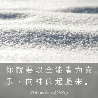 Picture 03 - 约 伯 记 22:26 CUVS - 你 就 要 以 全 能 者 为 喜 乐 ， 向 - Bible Verse Picture