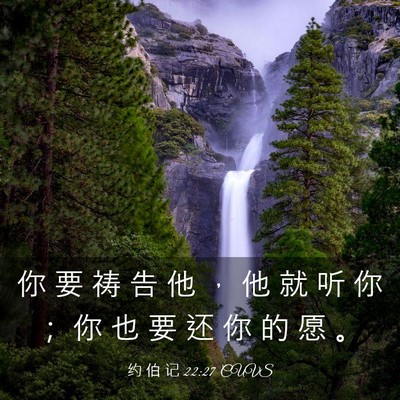 Picture 03 - 约 伯 记 22:27 CUVS - 你 要 祷 告 他 ， 他 就 听 你 ； 你 - Bible Verse Picture