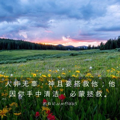 Picture 03 - 约 伯 记 22:30 CUVS - 人 非 无 辜 ， 神 且 要 搭 救 他 ； - Bible Verse Picture
