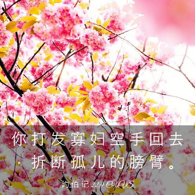 Picture 03 - 约 伯 记 22:9 CUVS - 你 打 发 寡 妇 空 手 回 去 ， 折 断 - Bible Verse Picture