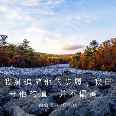 Picture 03 - 约 伯 记 23:11 CUVS - 我 脚 追 随 他 的 步 履 ； 我 谨 守 - Bible Verse Picture