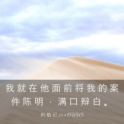Picture 03 - 约 伯 记 23:4 CUVS - 我 就 在 他 面 前 将 我 的 案 件 陈 - Bible Verse Picture