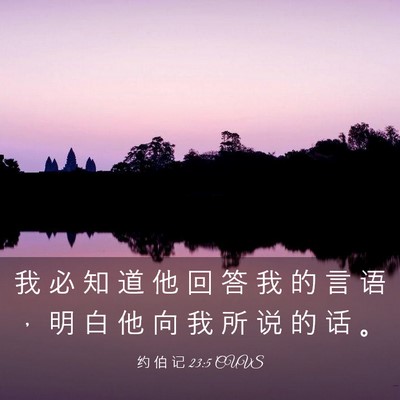 Picture 03 - 约 伯 记 23:5 CUVS - 我 必 知 道 他 回 答 我 的 言 语 ， - Bible Verse Picture
