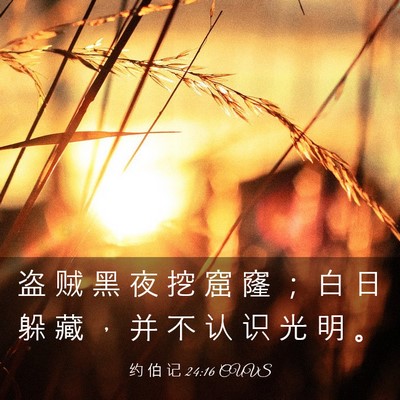Picture 03 - 约 伯 记 24:16 CUVS - 盗 贼 黑 夜 挖 窟 窿 ； 白 日 躲 藏 - Bible Verse Picture