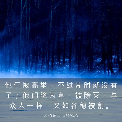 Picture 03 - 约 伯 记 24:24 CUVS - 他 们 被 高 举 ， 不 过 片 时 就 没 - Bible Verse Picture