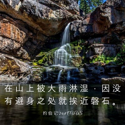 Picture 03 - 约 伯 记 24:8 CUVS - 在 山 上 被 大 雨 淋 湿 ， 因 没 有 - Bible Verse Picture