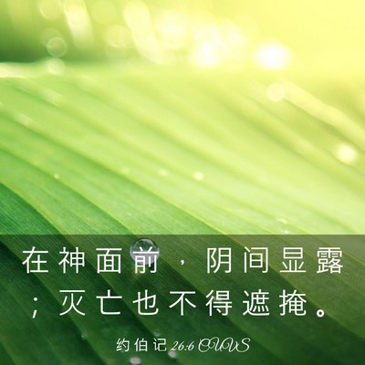 Picture 03 - 约 伯 记 26:6 CUVS - 在 神 面 前 ， 阴 间 显 露 ； 灭 亡 - Bible Verse Picture