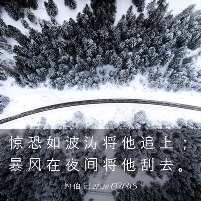 Picture 03 - 约 伯 记 27:20 CUVS - 惊 恐 如 波 涛 将 他 追 上 ； 暴 风 - Bible Verse Picture