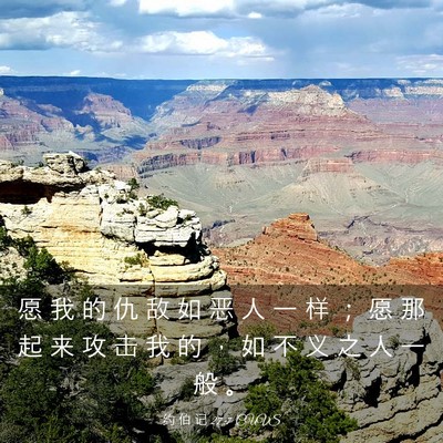 Picture 03 - 约 伯 记 27:7 CUVS - 愿 我 的 仇 敌 如 恶 人 一 样 ； 愿 - Bible Verse Picture