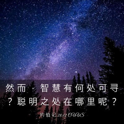 Picture 03 - 约 伯 记 28:12 CUVS - 然 而 ， 智 慧 有 何 处 可 寻 ？ 聪 - Bible Verse Picture