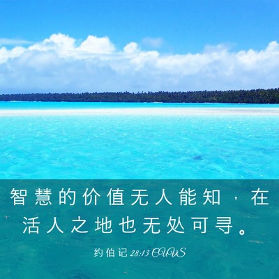 Picture 03 - 约 伯 记 28:13 CUVS - 智 慧 的 价 值 无 人 能 知 ， 在 活 - Bible Verse Picture