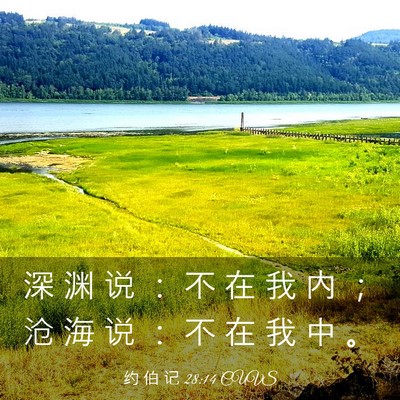 Picture 03 - 约 伯 记 28:14 CUVS - 深 渊 说 ： 不 在 我 内 ； 沧 海 说 - Bible Verse Picture