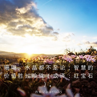 Picture 03 - 约 伯 记 28:18 CUVS - 珊 瑚 、 水 晶 都 不 足 论 ； 智 慧 - Bible Verse Picture