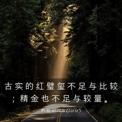 Picture 03 - 约 伯 记 28:19 CUVS - 古 实 的 红 璧 玺 不 足 与 比 较 ； - Bible Verse Picture