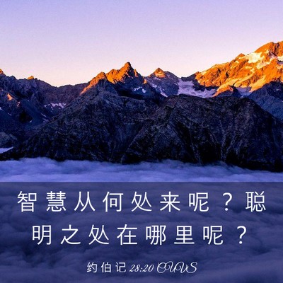 Picture 03 - 约 伯 记 28:20 CUVS - 智 慧 从 何 处 来 呢 ？ 聪 明 之 处 - Bible Verse Picture
