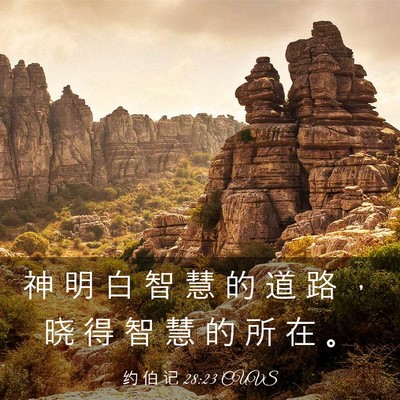 Picture 03 - 约 伯 记 28:23 CUVS - 神 明 白 智 慧 的 道 路 ， 晓 得 智 - Bible Verse Picture