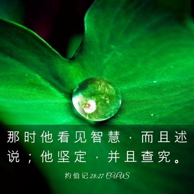 Picture 03 - 约 伯 记 28:27 CUVS - 那 时 他 看 见 智 慧 ， 而 且 述 说 - Bible Verse Picture