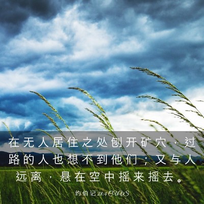 Picture 03 - 约 伯 记 28:4 CUVS - 在 无 人 居 住 之 处 刨 开 矿 穴 ， - Bible Verse Picture