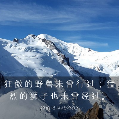 Picture 03 - 约 伯 记 28:8 CUVS - 狂 傲 的 野 兽 未 曾 行 过 ； 猛 烈 - Bible Verse Picture