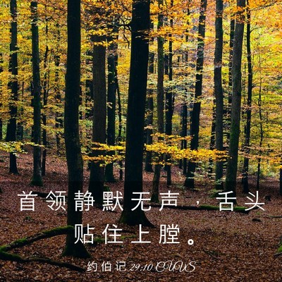 Picture 03 - 约 伯 记 29:10 CUVS - 首 领 静 默 无 声 ， 舌 头 贴 住 上 - Bible Verse Picture