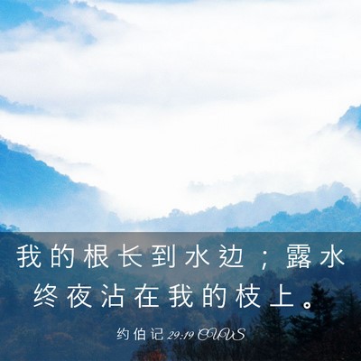Picture 03 - 约 伯 记 29:19 CUVS - 我 的 根 长 到 水 边 ； 露 水 终 夜 - Bible Verse Picture