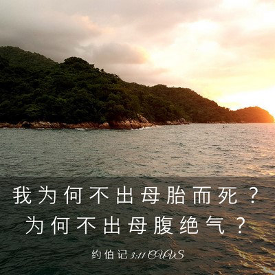 Picture 03 - 约 伯 记 3:11 CUVS - 我 为 何 不 出 母 胎 而 死 ？ 为 何 - Bible Verse Picture