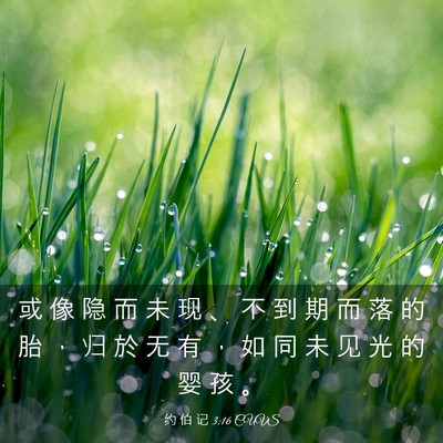 Picture 03 - 约 伯 记 3:16 CUVS - 或 像 隐 而 未 现 、 不 到 期 而 落 - Bible Verse Picture