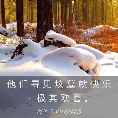 Picture 03 - 约 伯 记 3:22 CUVS - 他 们 寻 见 坟 墓 就 快 乐 ， 极 其 - Bible Verse Picture