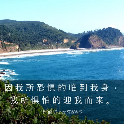 Picture 03 - 约 伯 记 3:25 CUVS - 因 我 所 恐 惧 的 临 到 我 身 ， 我 - Bible Verse Picture
