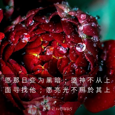 Picture 03 - 约 伯 记 3:4 CUVS - 愿 那 日 变 为 黑 暗 ； 愿 神 不 从 - Bible Verse Picture