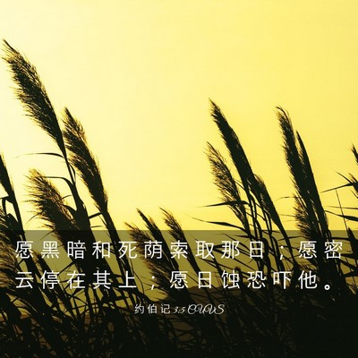 Picture 03 - 约 伯 记 3:5 CUVS - 愿 黑 暗 和 死 荫 索 取 那 日 ； 愿 - Bible Verse Picture