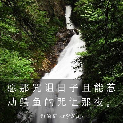 Picture 03 - 约 伯 记 3:8 CUVS - 愿 那 咒 诅 日 子 且 能 惹 动 鳄 鱼 - Bible Verse Picture